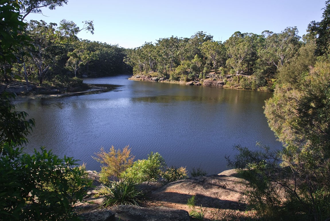 Our dentistry is located near Lake Parramatta.