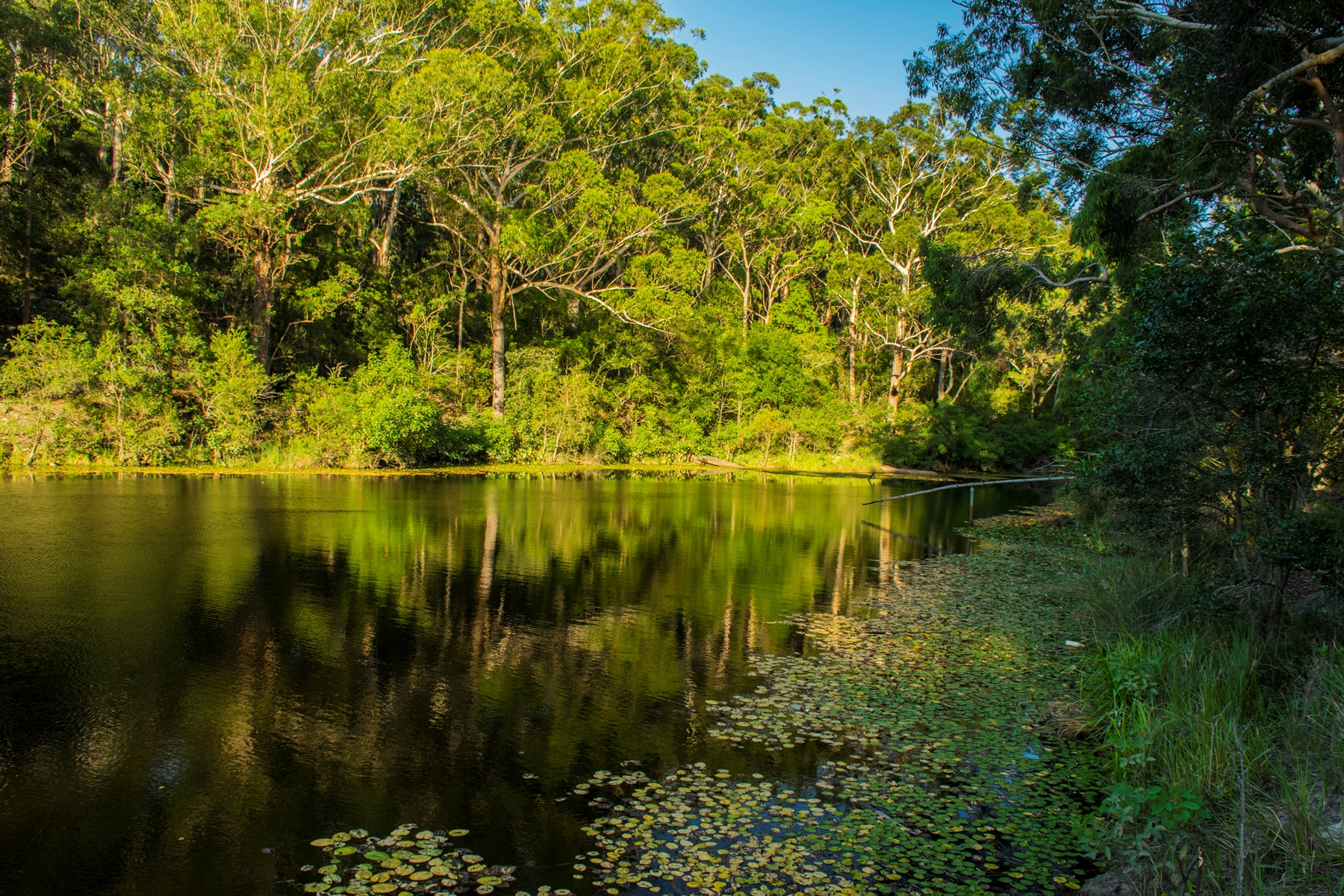 We are located near Parramatta Lake