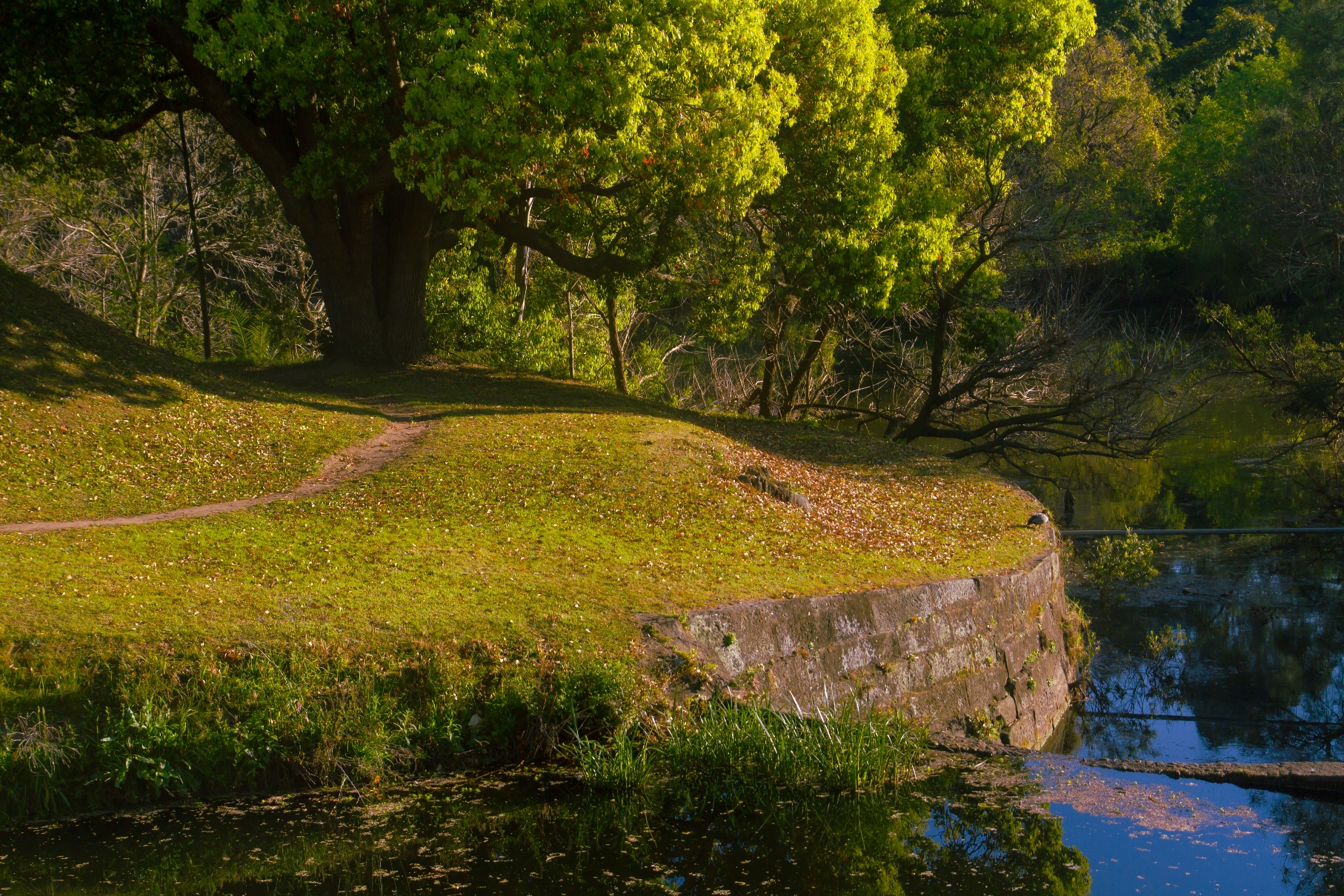 We are only a few minutes away from Parramatta Park.