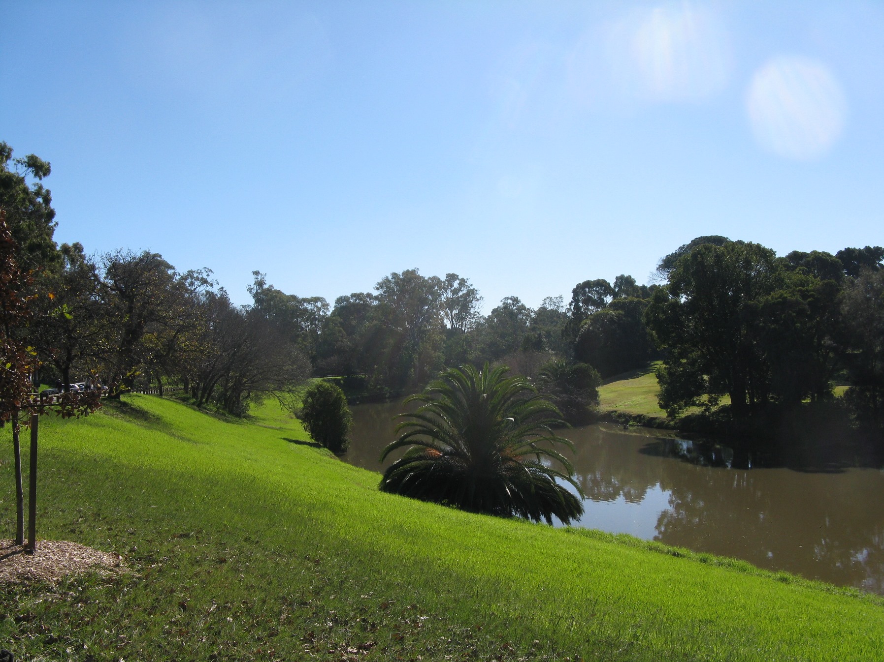 We are located near Parramatta Park